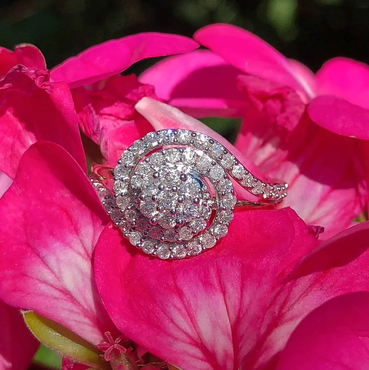 9ct Yellow Gold 1/2 Carat Diamond Ring Set with 59 Stunning Brilliant Diamonds