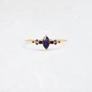 Aurora Ring with Iolite
