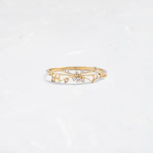 Diamond Small Changes Ring