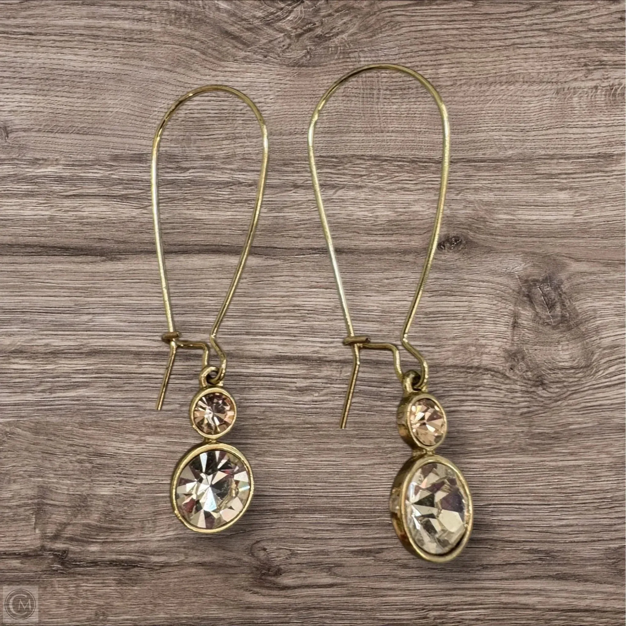 Earrings Dangle/drop By Clothes Mentor