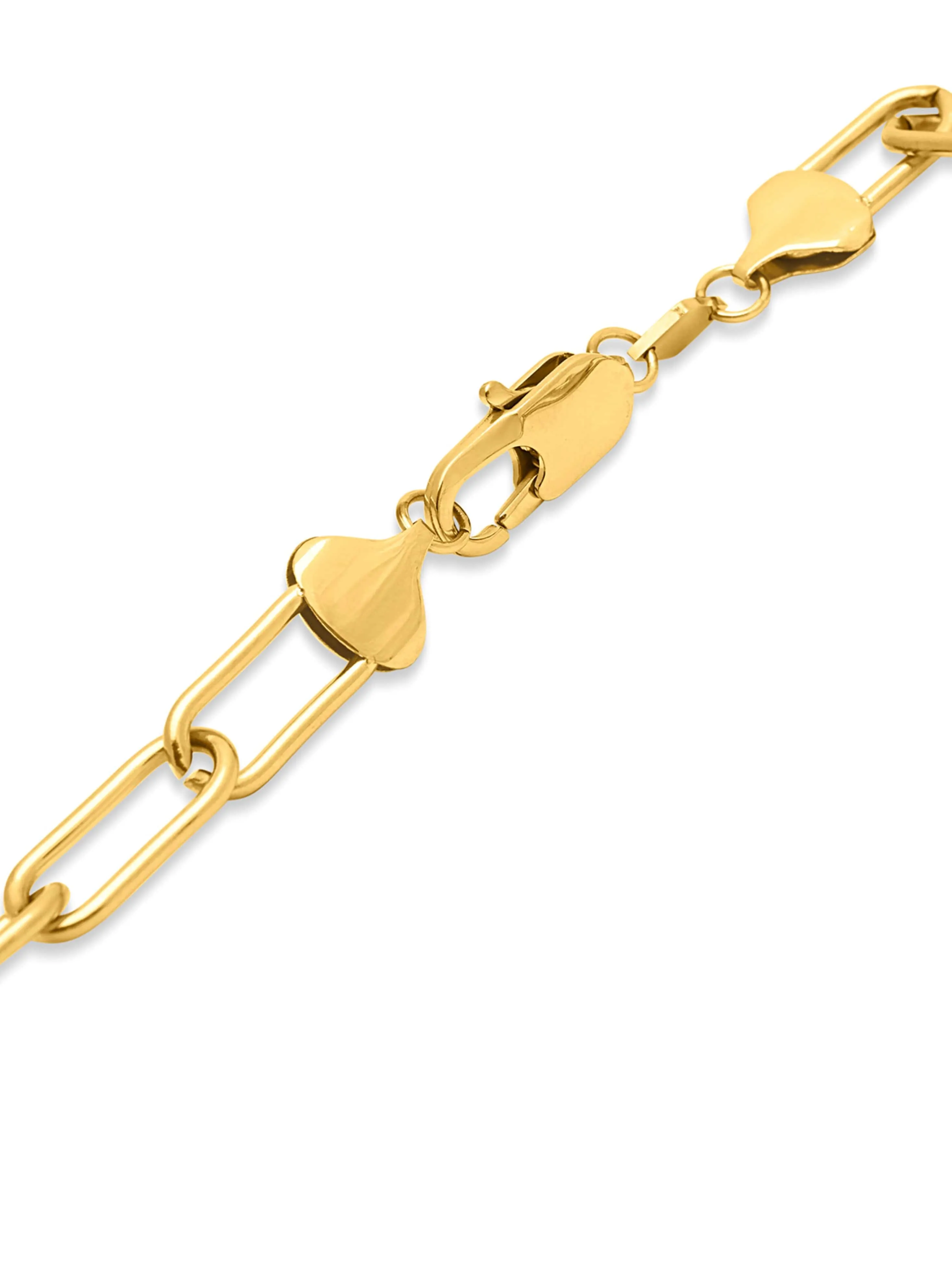 Men's Gold Paperclip Chain with Lion Coin