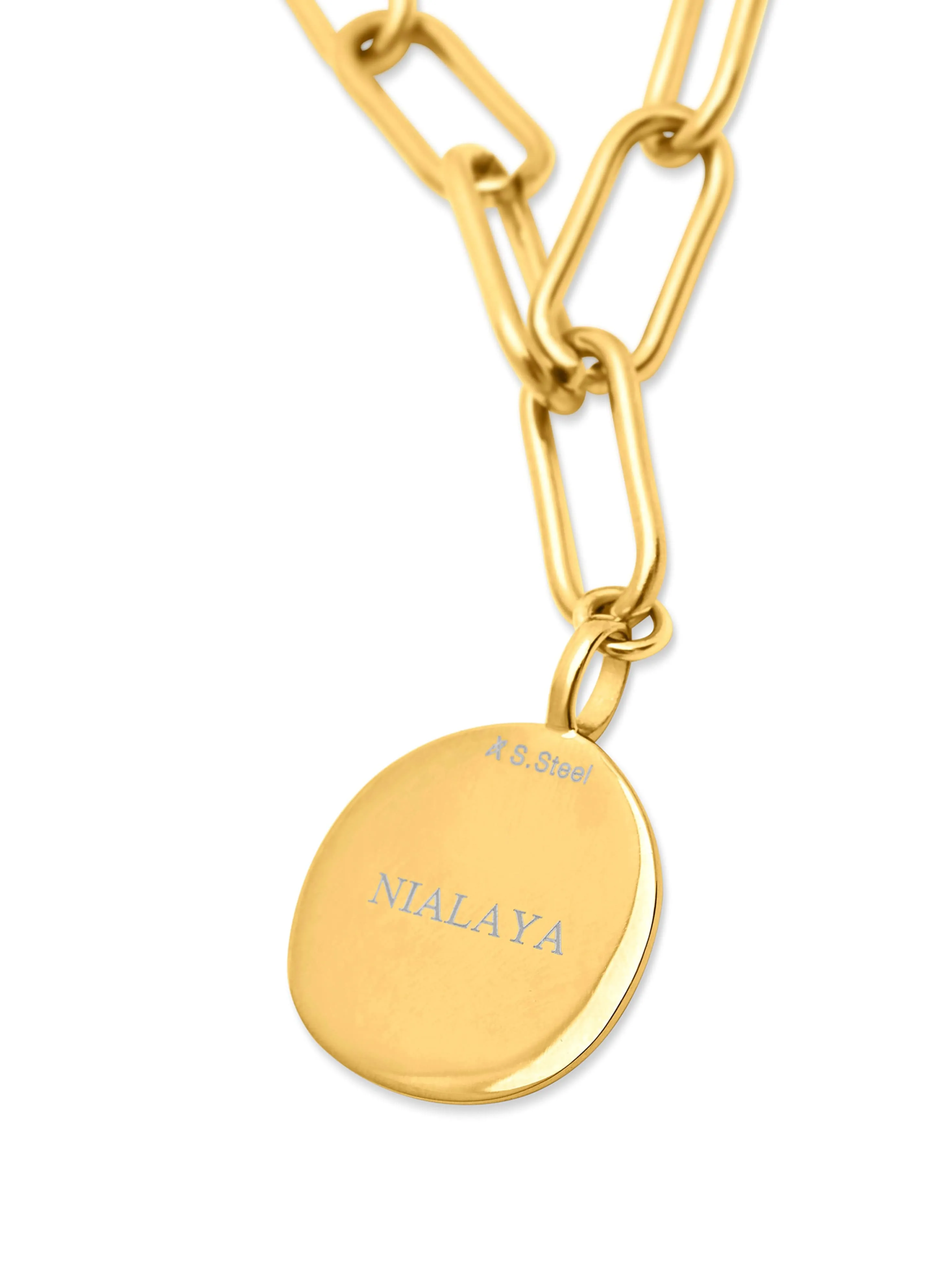 Men's Gold Paperclip Chain with Lion Coin