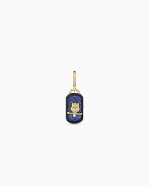 Power Gemstone Wisdom Parker Charm